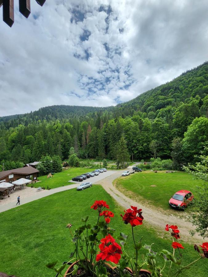 Pensiunea Susman Rachitele Esterno foto